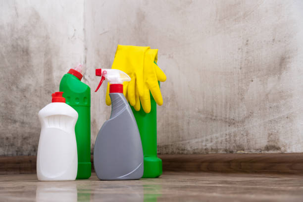 Astatula, FL Mold Inspection, Removal & Remediation Company